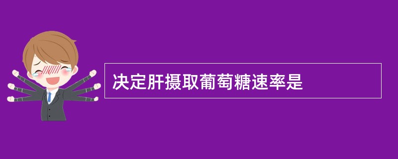 决定肝摄取葡萄糖速率是