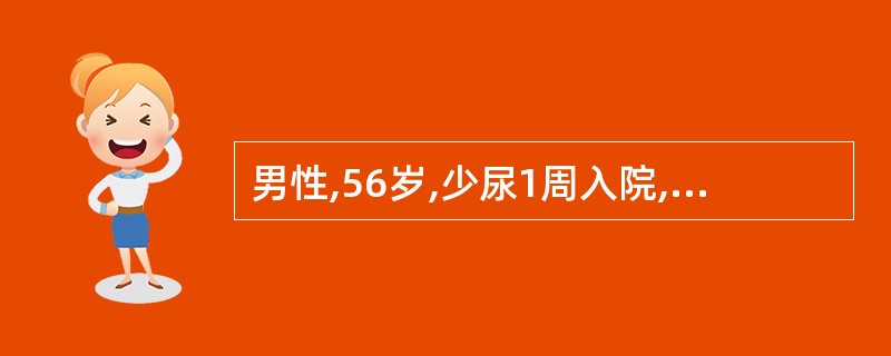 男性,56岁,少尿1周入院,血压180£¯120mmHg,嗜睡,贫血,颜面及双下