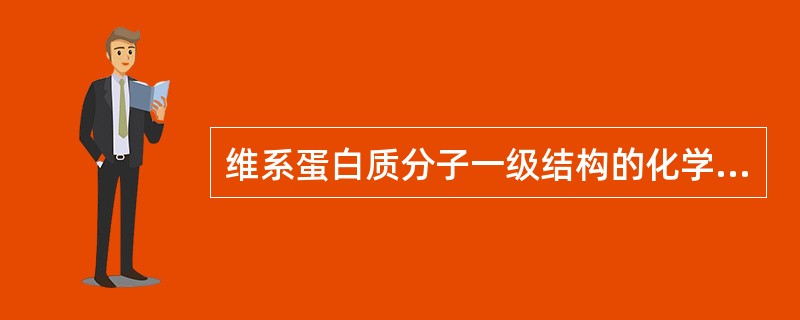 维系蛋白质分子一级结构的化学键是