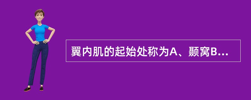 翼内肌的起始处称为A、颞窝B、颞下窝C、翼腭窝D、翼突窝E、尖牙窝