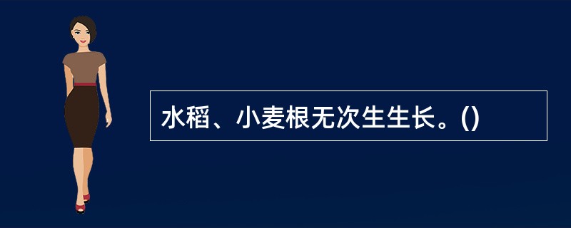 水稻、小麦根无次生生长。()