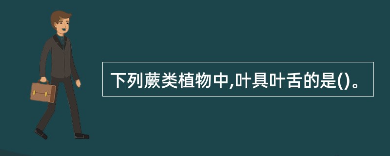 下列蕨类植物中,叶具叶舌的是()。