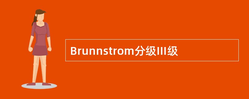 Brunnstrom分级Ⅲ级