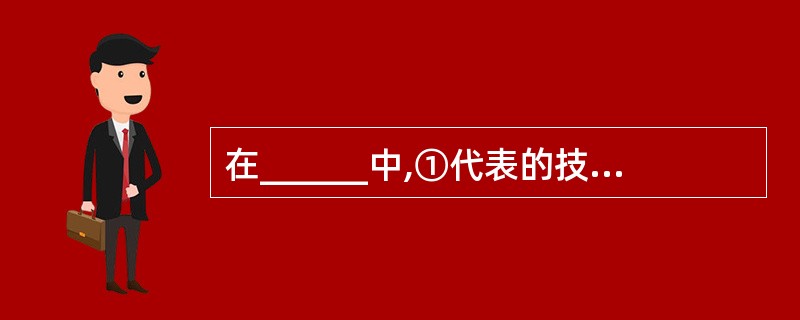 在______中,①代表的技术通过对网络数据的封包和加密传输,在公网上传输私有数