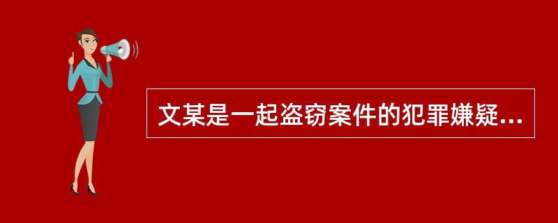 文某是一起盗窃案件的犯罪嫌疑人,公安机关侦查终结后将案件移送人民检察院审查起诉,