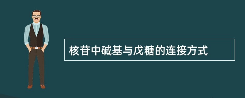核苷中碱基与戊糖的连接方式
