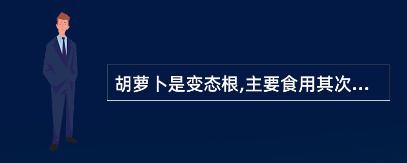 胡萝卜是变态根,主要食用其次生韧皮部。()