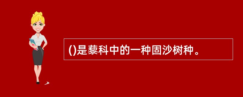 ()是藜科中的一种固沙树种。