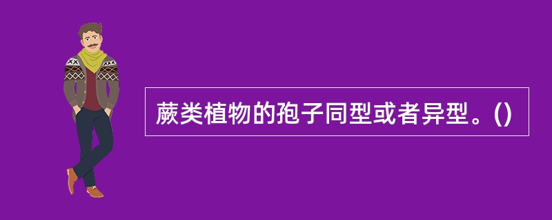 蕨类植物的孢子同型或者异型。()