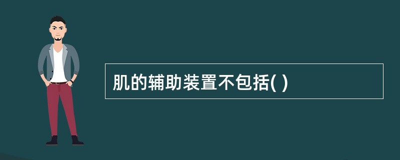 肌的辅助装置不包括( )