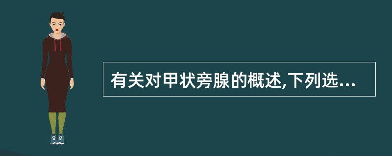 有关对甲状旁腺的概述,下列选项错误的是