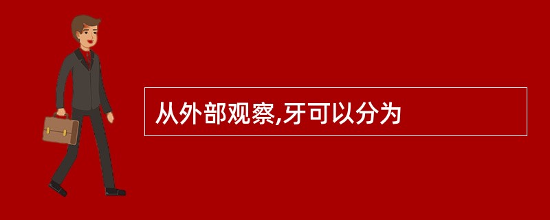 从外部观察,牙可以分为