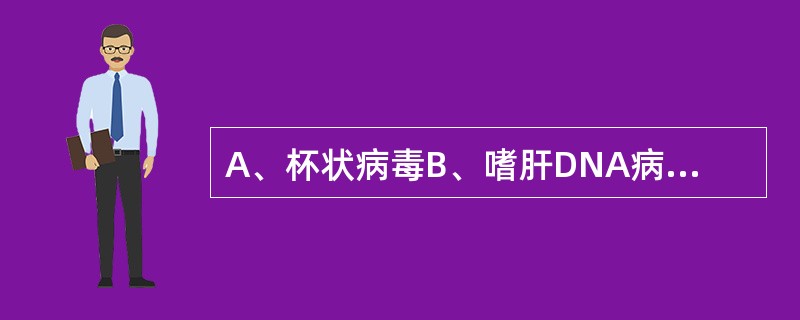 A、杯状病毒B、嗜肝DNA病毒C、缺陷病毒D、黄病毒E、微小RNA病毒 甲肝病毒