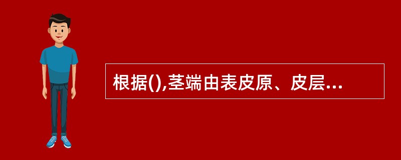 根据(),茎端由表皮原、皮层原和中柱原组成。