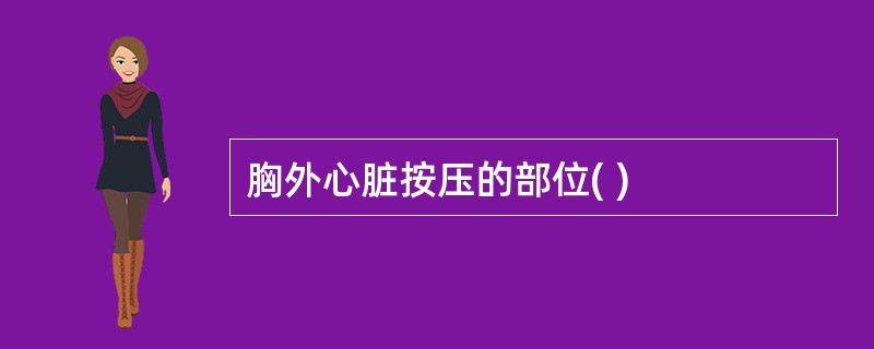 胸外心脏按压的部位( )