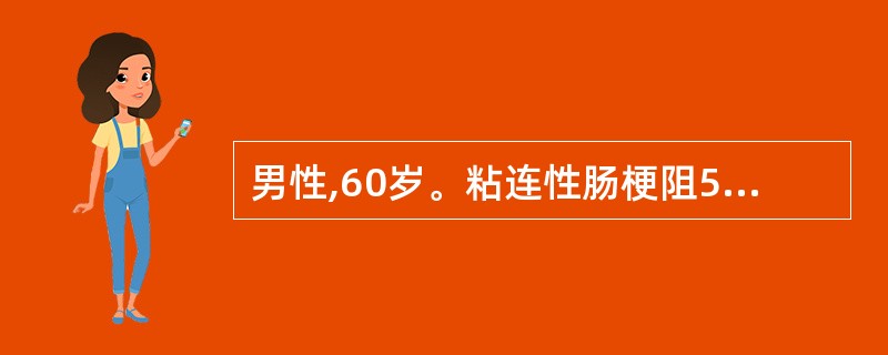 男性,60岁。粘连性肠梗阻5天,出现呼吸深快。查体:面部潮红,心率110次£¯分