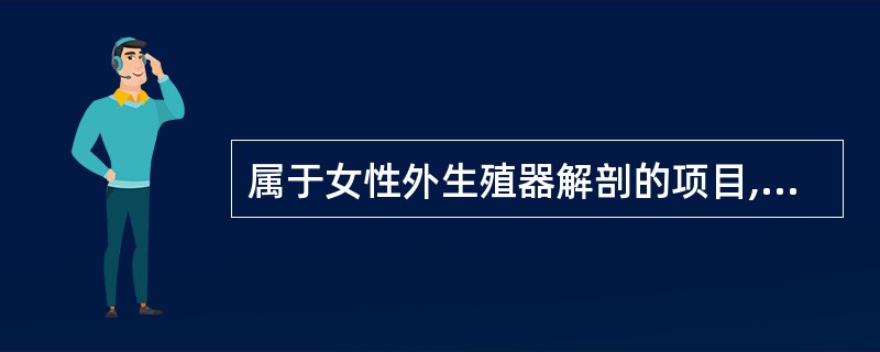 属于女性外生殖器解剖的项目,错误的是()。A、阴阜皮下有丰富的脂肪组织B、大阴唇