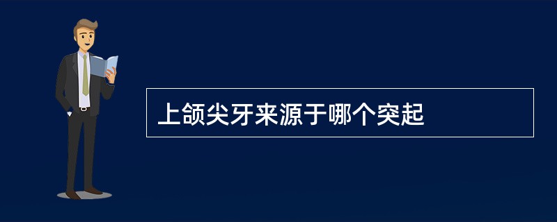 上颌尖牙来源于哪个突起