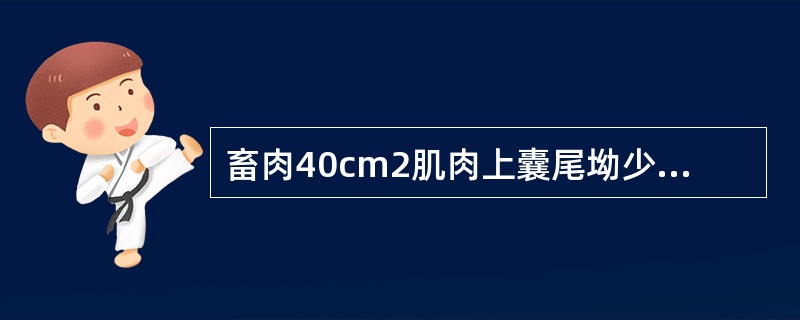 畜肉40cm2肌肉上囊尾坳少于3个应如何处理