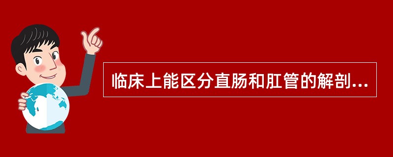 临床上能区分直肠和肛管的解剖标志是