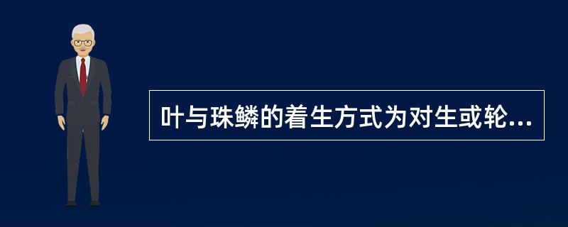 叶与珠鳞的着生方式为对生或轮生的现象可见于()。