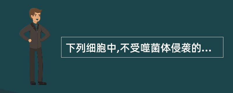 下列细胞中,不受噬菌体侵袭的是( )。