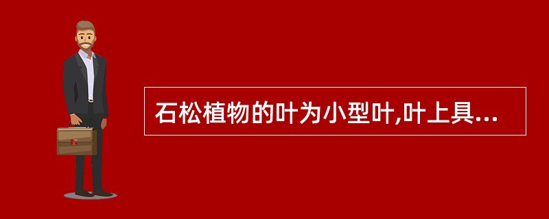 石松植物的叶为小型叶,叶上具毛和鳞片。()