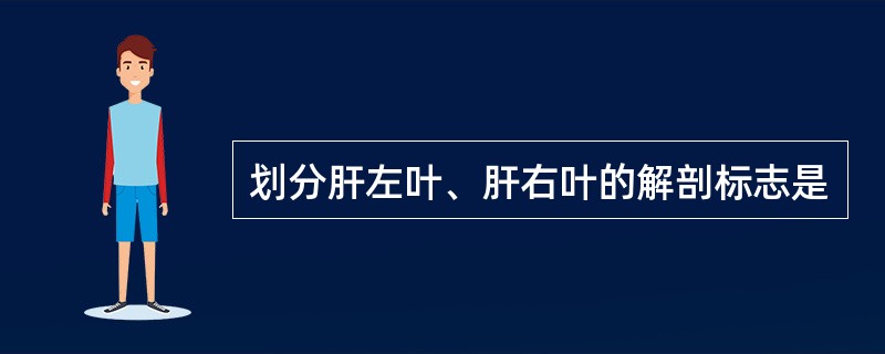 划分肝左叶、肝右叶的解剖标志是