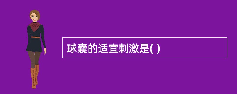 球囊的适宜刺激是( )