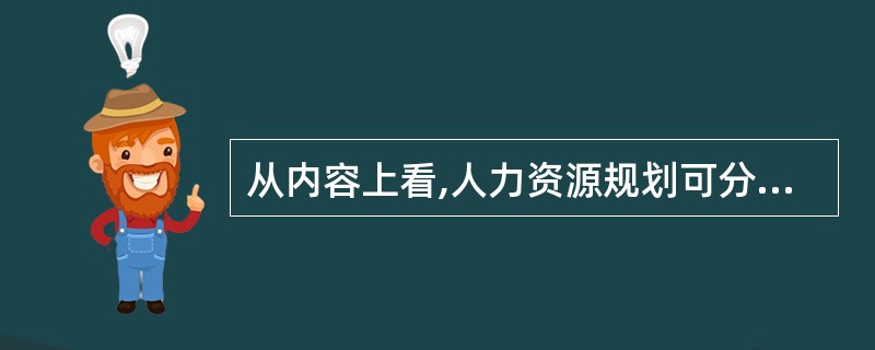 从内容上看,人力资源规划可分为( )。