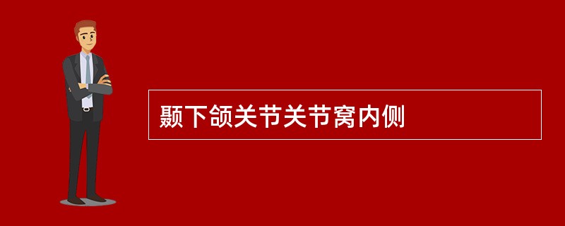 颞下颌关节关节窝内侧