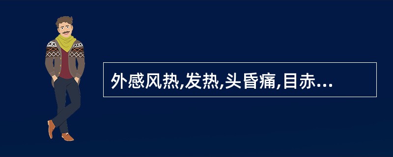 外感风热,发热,头昏痛,目赤肿痛,首选