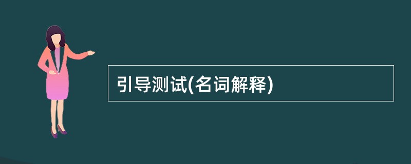 引导测试(名词解释)