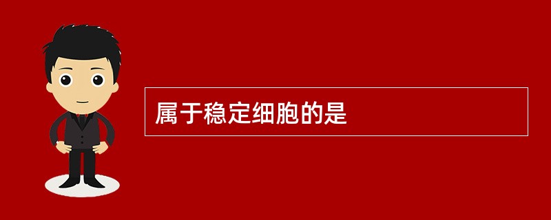 属于稳定细胞的是