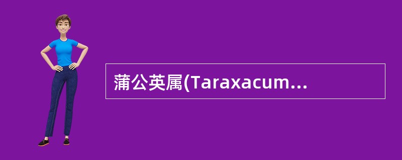 蒲公英属(Taraxacum)有一种植物可提取橡胶,该植物是()。