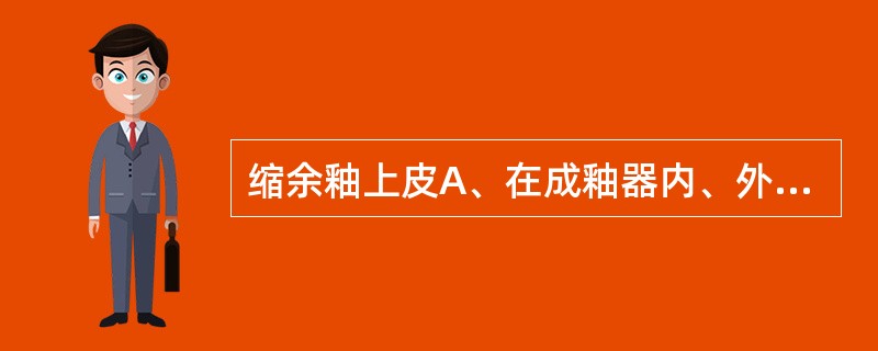 缩余釉上皮A、在成釉器内、外釉上皮之间的星形细胞 B、钟状期末牙板断裂后残留的上