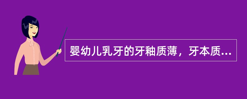 婴幼儿乳牙的牙釉质薄，牙本质松脆，牙髓腔较小，易生龋齿。（）