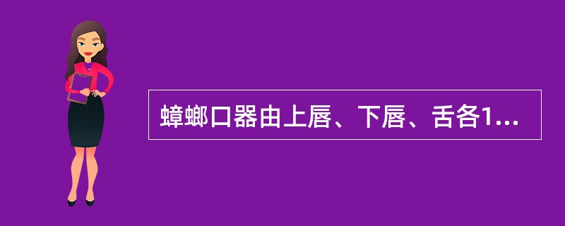 蟑螂口器由上唇、下唇、舌各1个，上颚和下颚各1对组成，属刺吸式。（）