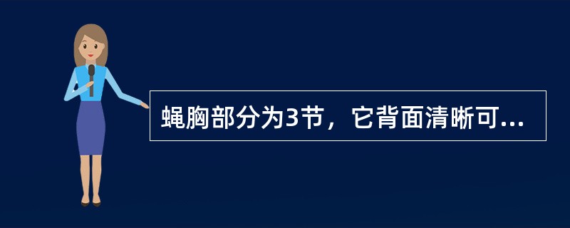 蝇胸部分为3节，它背面清晰可见前胸盾片、中胸盾片和小盾片3个部分。（）