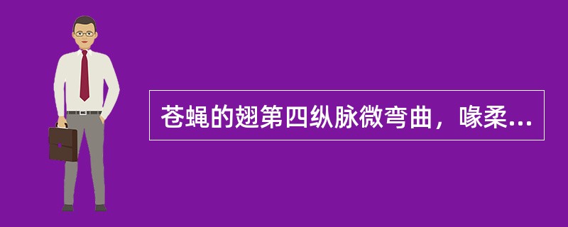 苍蝇的翅第四纵脉微弯曲，喙柔软能折叠，触角芒两侧有细毛，小盾片棕黄色（）