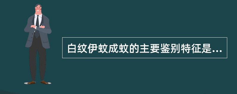 白纹伊蚊成蚊的主要鉴别特征是（）。