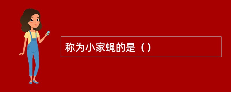 称为小家蝇的是（）