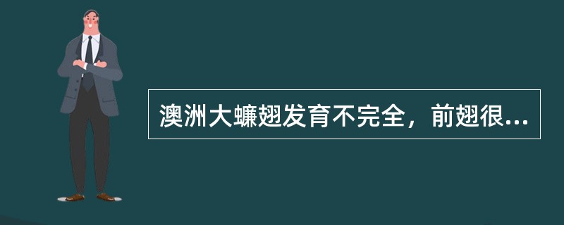 澳洲大蠊翅发育不完全，前翅很短。（）