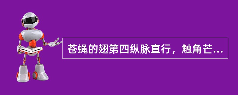 苍蝇的翅第四纵脉直行，触角芒裸，第七纵脉短，第七纵脉不弯曲于第六纵脉前，体有金属光泽为（）