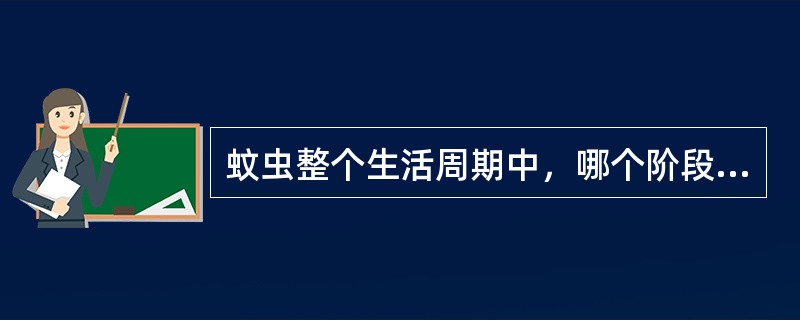 蚊虫整个生活周期中，哪个阶段与水体无关（）