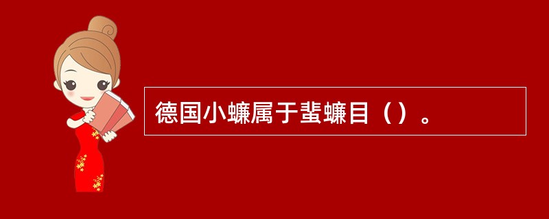 德国小蠊属于蜚蠊目（）。