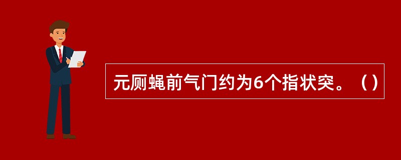 元厕蝇前气门约为6个指状突。（）