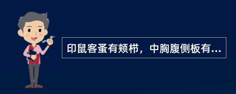 印鼠客蚤有颊栉，中胸腹侧板有纵脊（角质厚杆）。（）