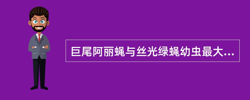 巨尾阿丽蝇与丝光绿蝇幼虫最大的区别在于（）。