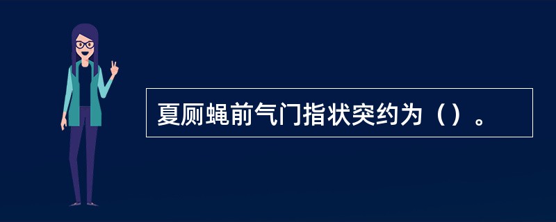 夏厕蝇前气门指状突约为（）。